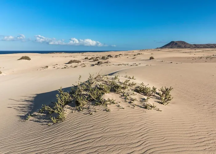 Appartement Home2book Bright With Pool & Terrace *